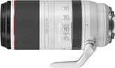 Canon RF 100-500mm f/4.5-7.1 L IS USM
