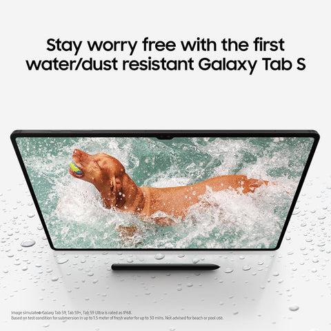 Samsung Galaxy Tab S9 Ultra WiFi 14.6 inch SM-X910 12GB+512GB