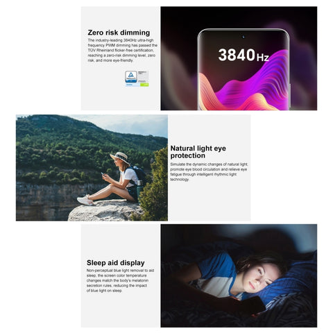 Honor 100 5G MAA-AN00 Dual SIM 16GB+512GB (China Version)