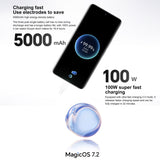 Honor 100 5G MAA-AN00 12GB+256GB (China Version)