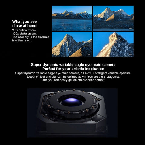 Honor Magic 6 Pro 5G BVL-AN16 16GB+512GB (China Version)