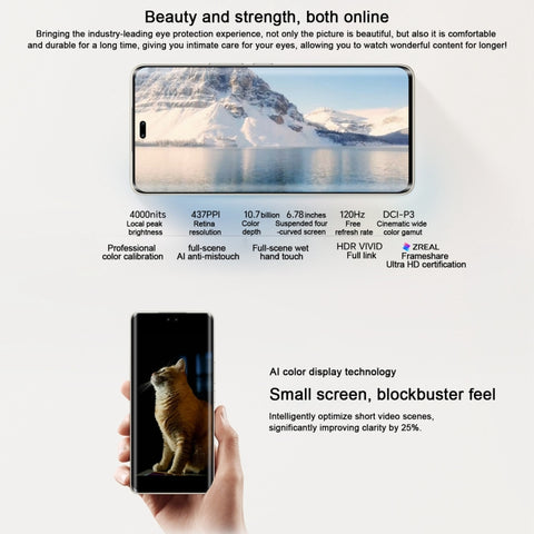 Honor 300 Pro 5G AMP-AN00 Dual SIM 12GB+512GB (China Version)