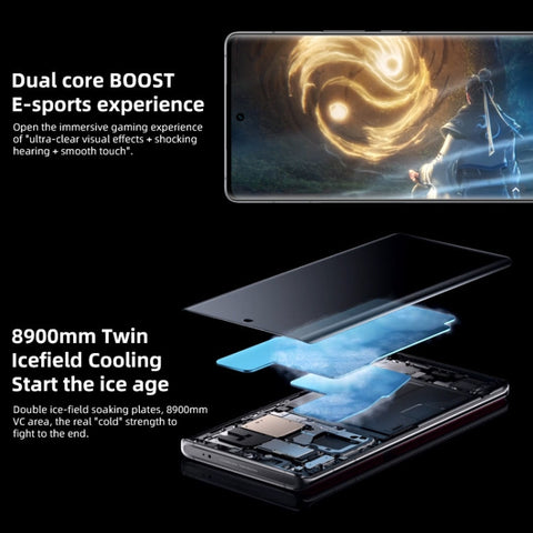 Vivo X90 Pro Plus 5G Dual SIM 12GB+512GB (China Version)