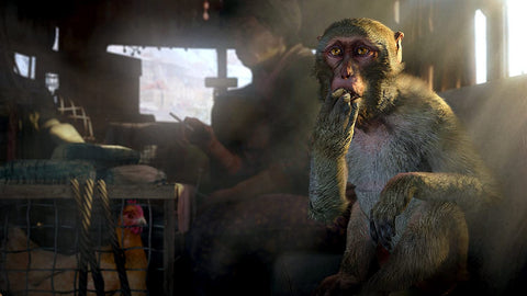 [PS4] Far Cry 4