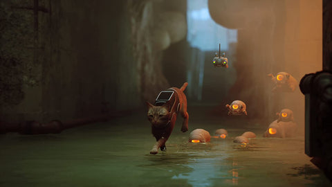 [PS4] Stray